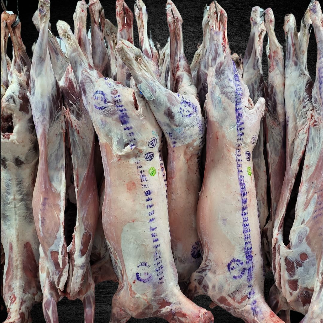 LAMB WHOLE 20 PEOPLE