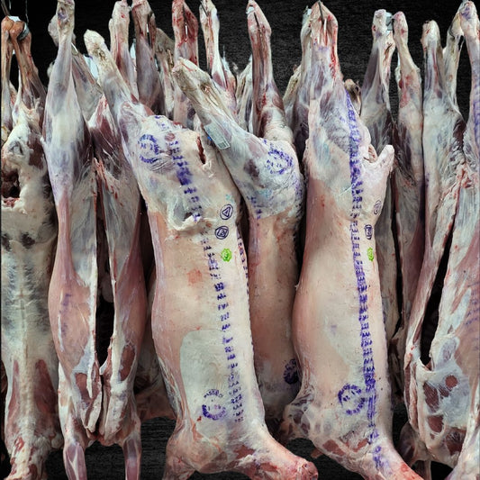 LAMB WHOLE 40 PEOPLE