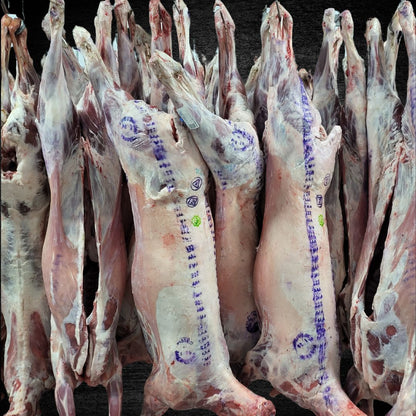 LAMB WHOLE 40 PEOPLE