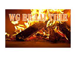 WG BRAAI FIRELIGHTERS